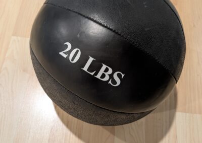 20 lbs weighted ball